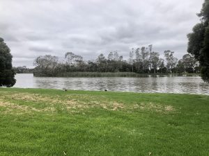 Lake Guthridge